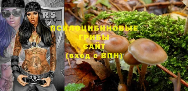 СК Абаза