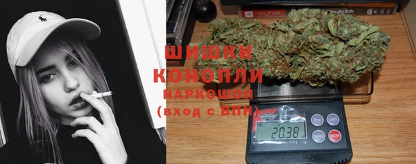 хмурый Пересвет