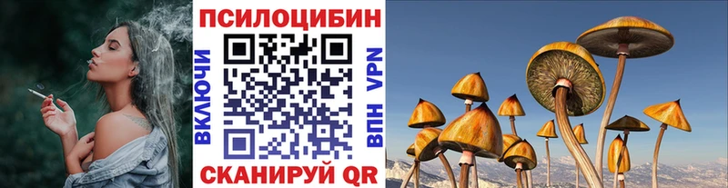 Галлюциногенные грибы мицелий  как найти закладки  Правдинск 